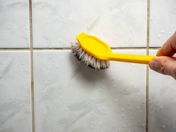 Best Certified Mold Removal  in Bridgeport, WA